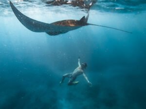 snorkeling nusa penida 11
