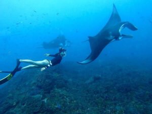 snorkeling nusa penida 12