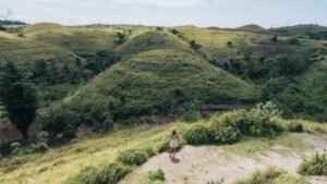 teletubbies-hills2-1600x900