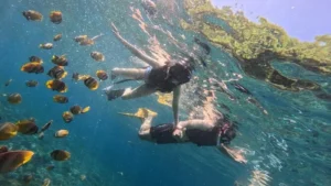 Tanjung Jepun Snorkeling