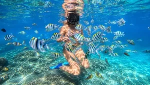 Tanjung Jepun Snorkeling