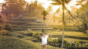 Tegalalang Rice Terrace