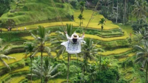 Tegalalang rice 1600 x 900