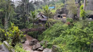Ubud 1600 x 900