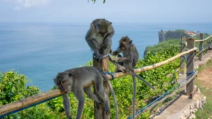 uluwatu