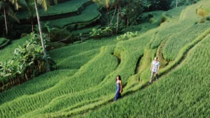 Bali Experience – South Bali, Ubud & East Bali